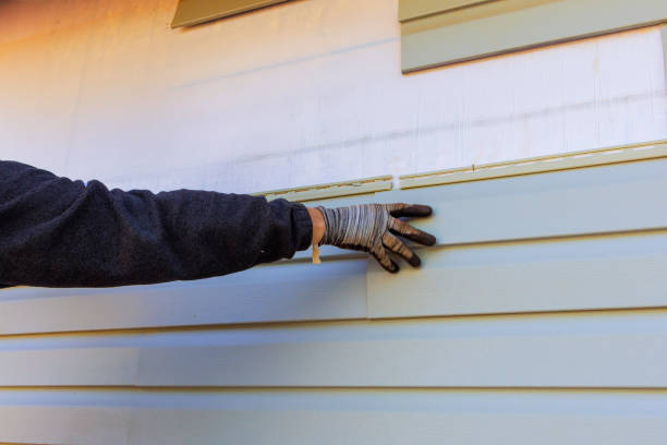 Best Steel Siding Installation  in USA